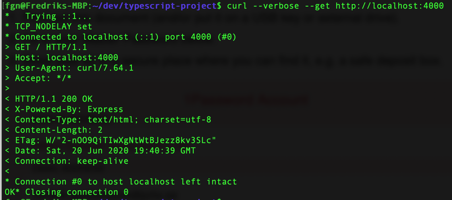 Getting started with Typescript and Express – Commerce of the future